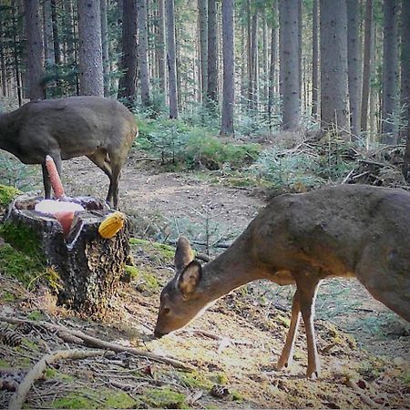 Ferienwohnung Kochs Beeren Oberfresen Exterior foto
